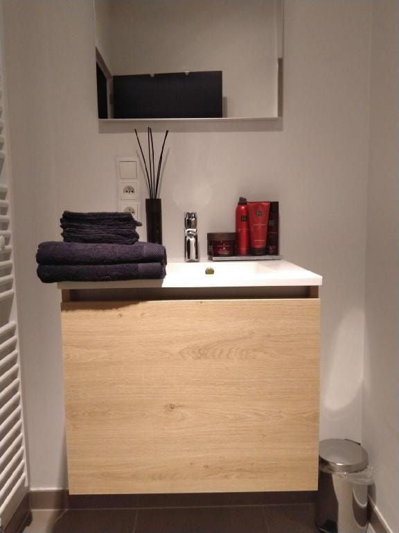 A Luxury Flat in Antwerp Apartment in Antwerp