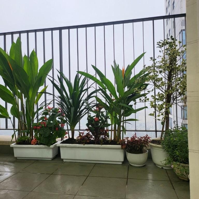 Anstay 2BRS 2WC Vinhomes Dcapital Apartment in Laos