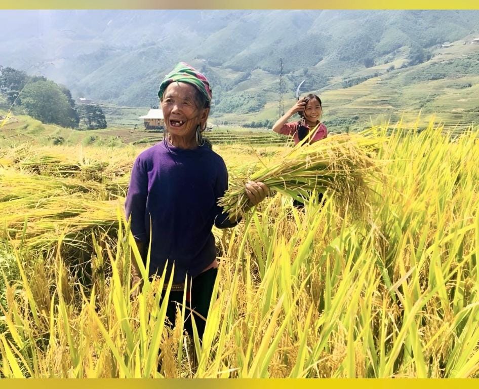 Lona House Trekking&Homestay Apartment in Laos