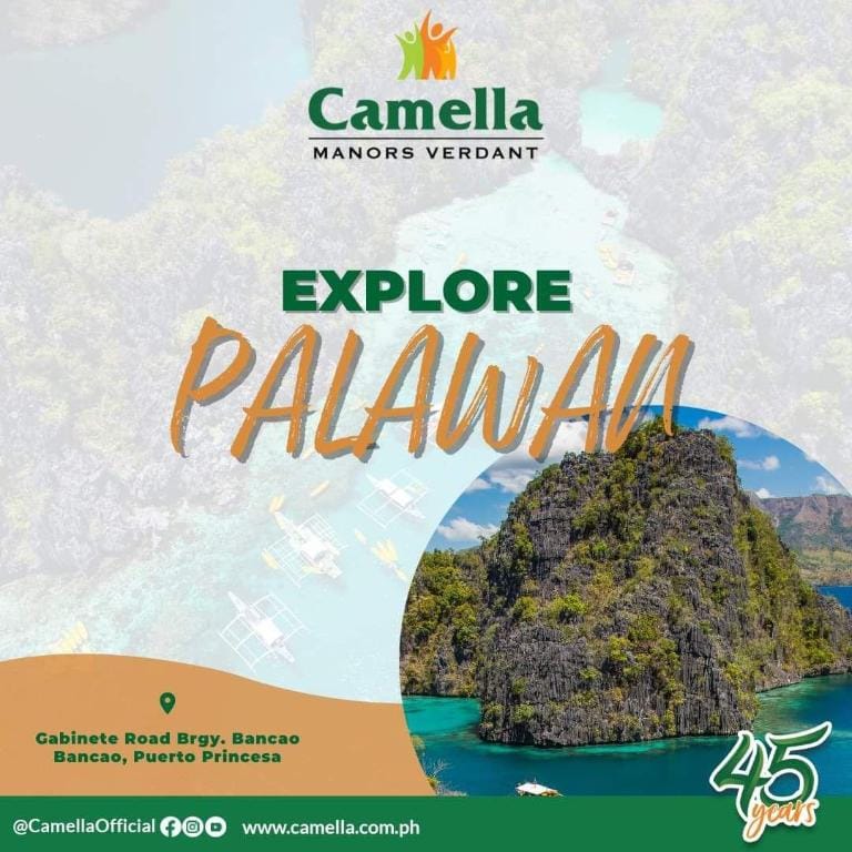 Alya Grande Staycation Vacation rental in Puerto Princesa