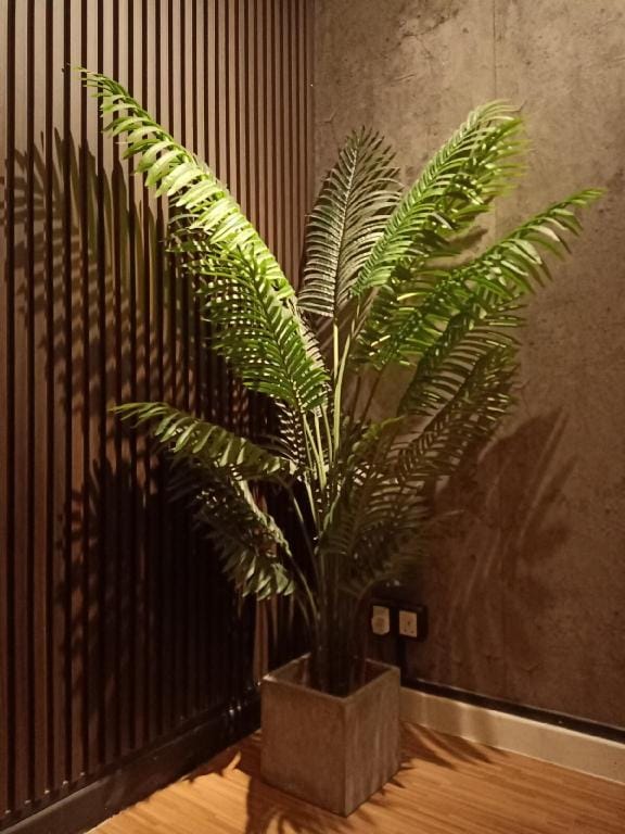 Sabai Sabai Guesthouse - Family Room Apartment in Bayan Lepas