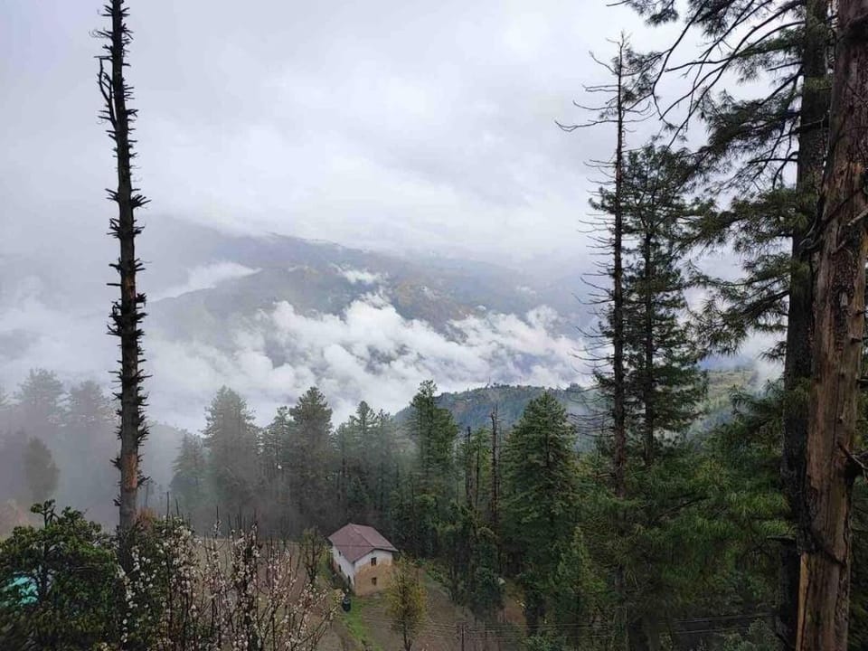 Alpine haven Luxury spacious 2BHK Flat in Mashobra Vacation rental in Himachal Pradesh