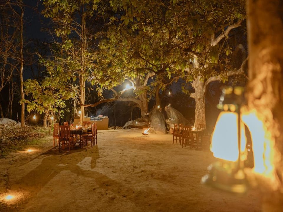 Kanha Jungle Resort - A Jungle Tales' Experience Hotel in India