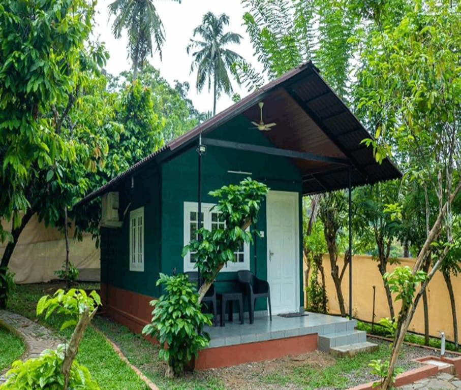 The Nest Thattekad Resort in Kerala