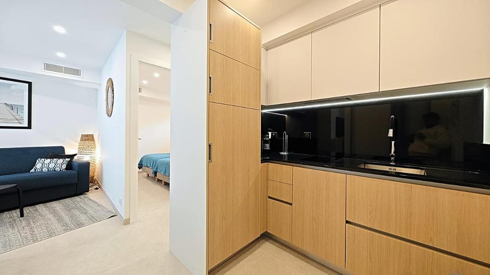 Viva Riviera Brand New Top Floor close Croisette Apartment in Cannes