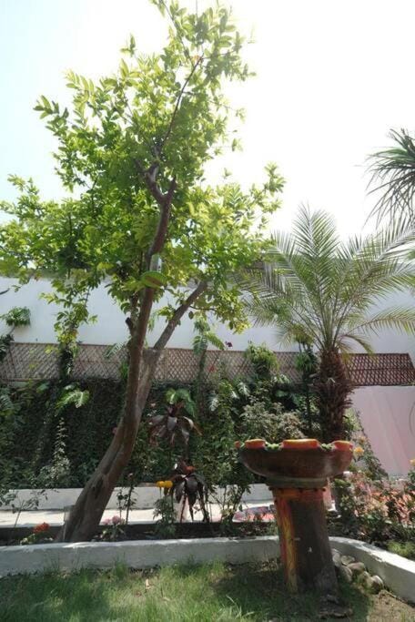 The Nature House - Amritsar Vacation rental in Punjab, India