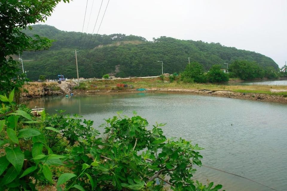 Buan Byeonsanbando Haejoeum Pension Bed and Breakfast in South Korea
