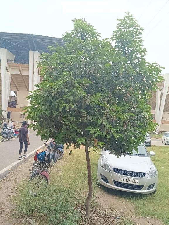 Prakriti's Abode Flat No. 102 Apartment in Bangladesh