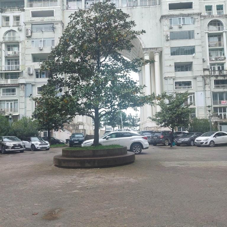 Bina Apartment in Batumi