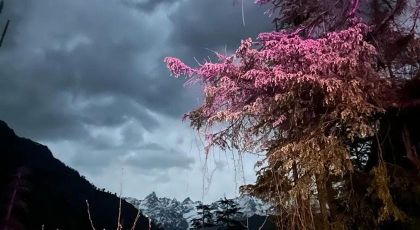 KASOL JUNGLE RETREAT Vacation rental in Himachal Pradesh