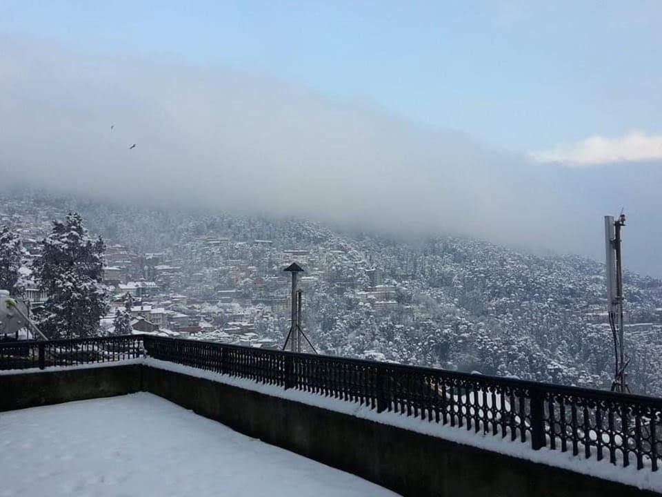 The Thistle Lodge  Apartment in Shimla