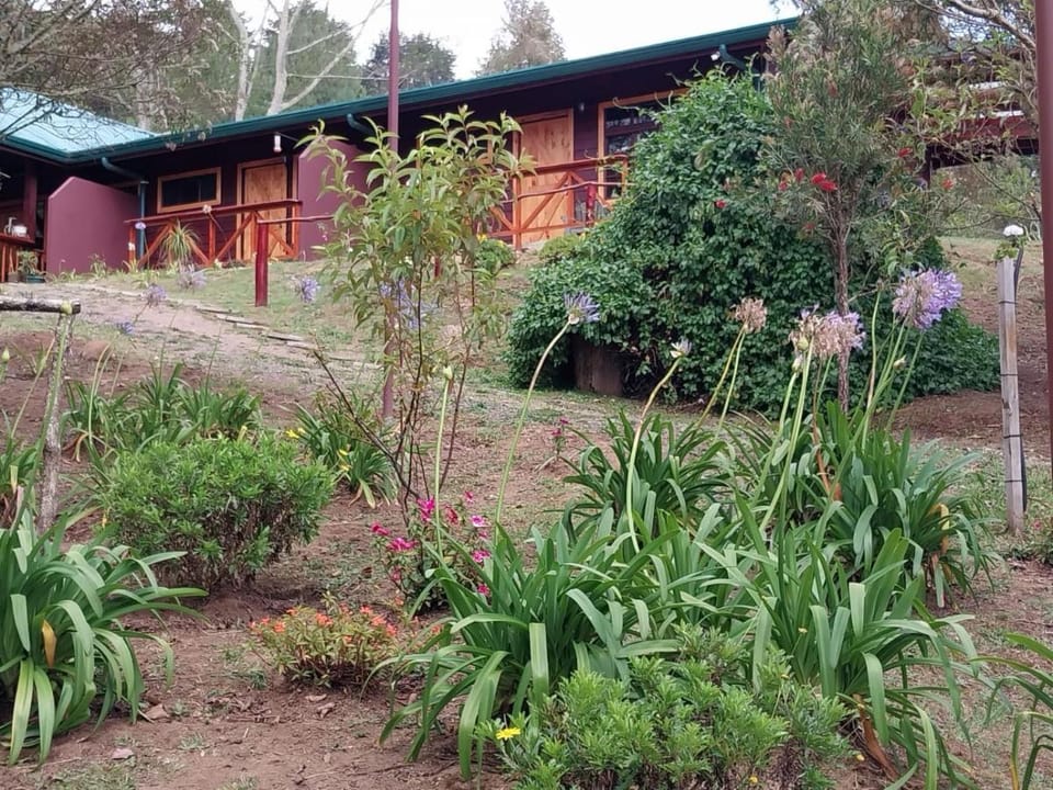 Curuba Lodge Lodge in Cartago Province, Costa Rica