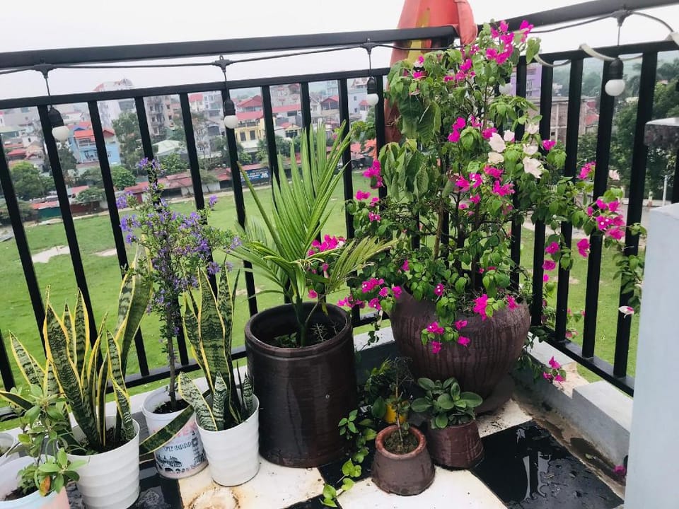 AirlineVN Hotel and Coffee Vacation rental in Laos