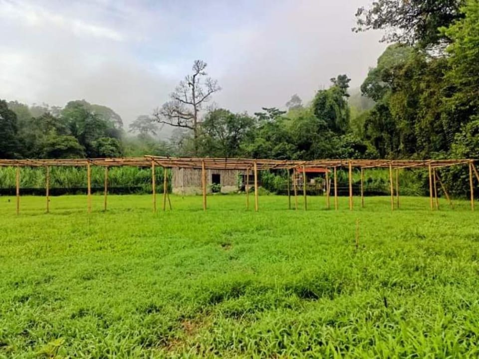Hulu Langat  Eco Farm for 14 pax Vacation rental in Hulu Langat