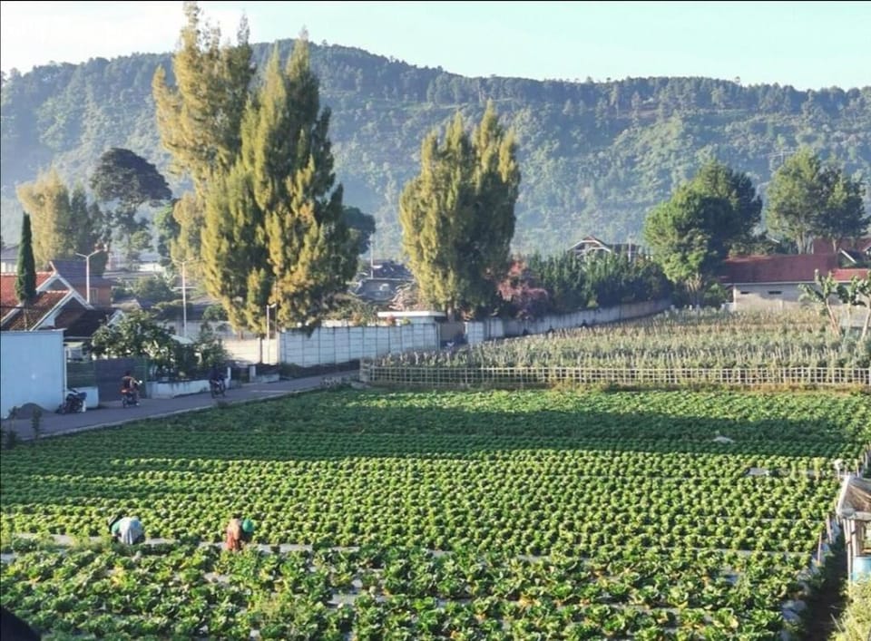 Home in the middle of local farm and Pine Forest Villa in Lembang