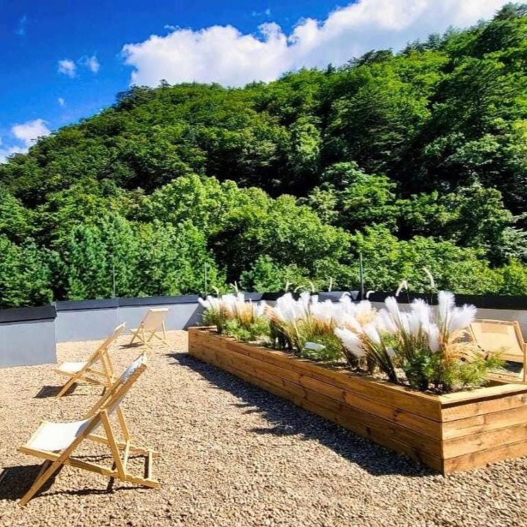 Sokcho Floating Whale Seorak Dojeok Waterfall Stay Bed and Breakfast in South Korea