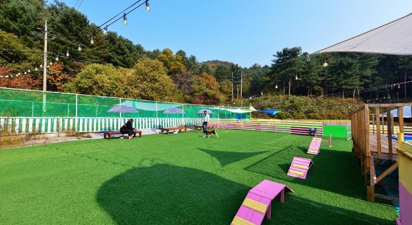 Thank you dog pet pension Bed and Breakfast in Gyeonggi-do