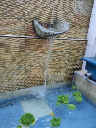 Johor Bahru Bali relax stay Apartment in Johor Bahru