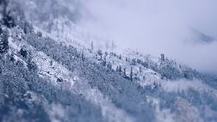 The HILLBILLYS Burwa Vacation rental in Himachal Pradesh