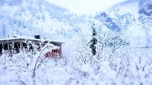 The HILLBILLYS Burwa Vacation rental in Himachal Pradesh