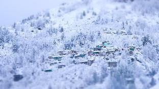 The HILLBILLYS Burwa Vacation rental in Himachal Pradesh