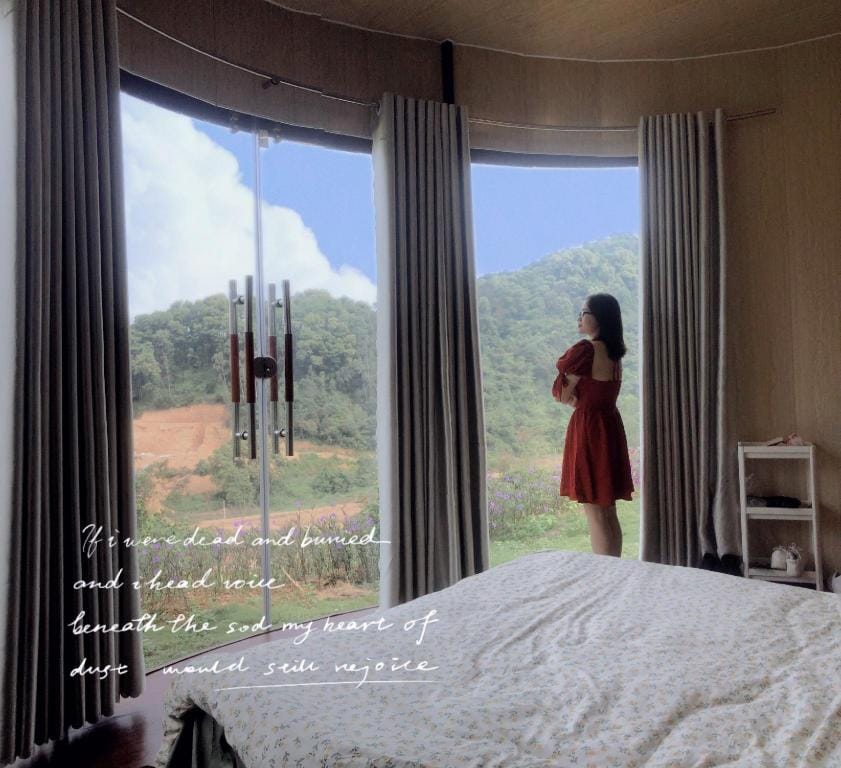 Bungalow panorama view đồi thông- Couple vibes Vacation rental in Laos