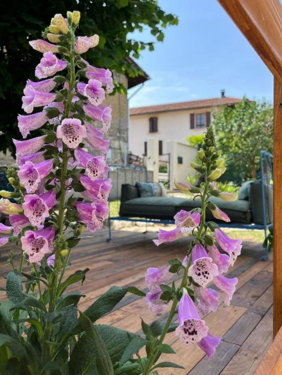 Ysalice Bed and Breakfast in Auvergne-Rhône-Alpes