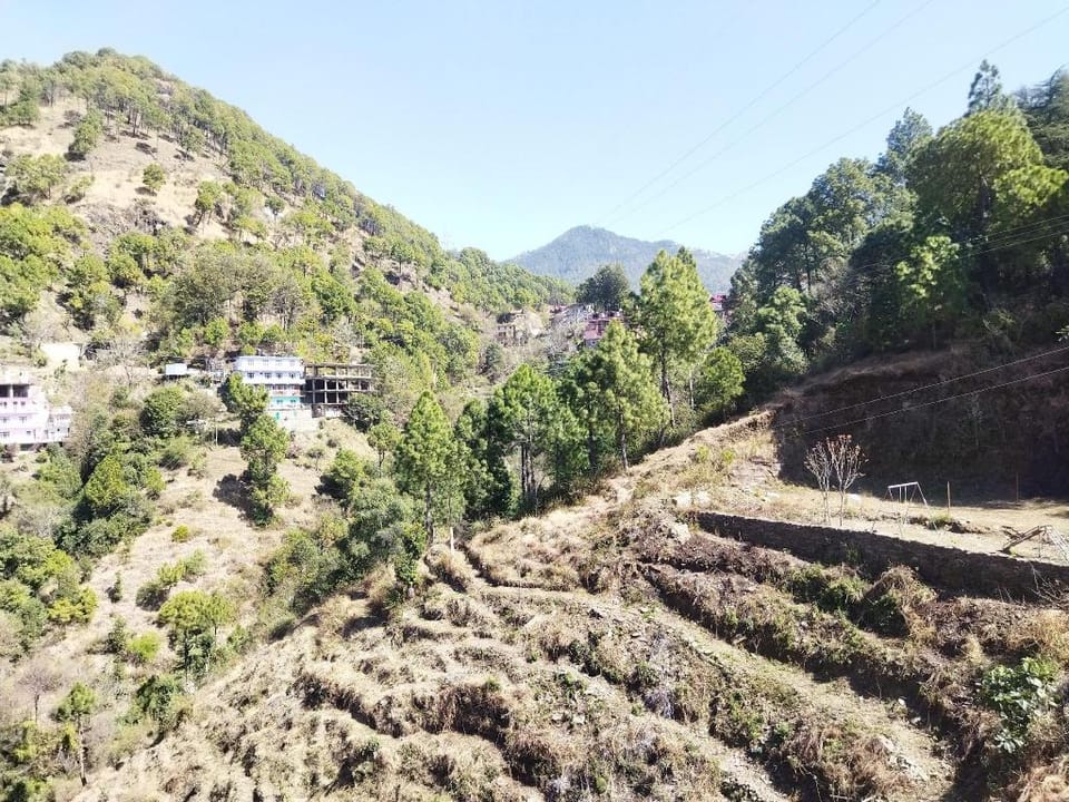 The Breeze Home Stay Hotel in Shimla