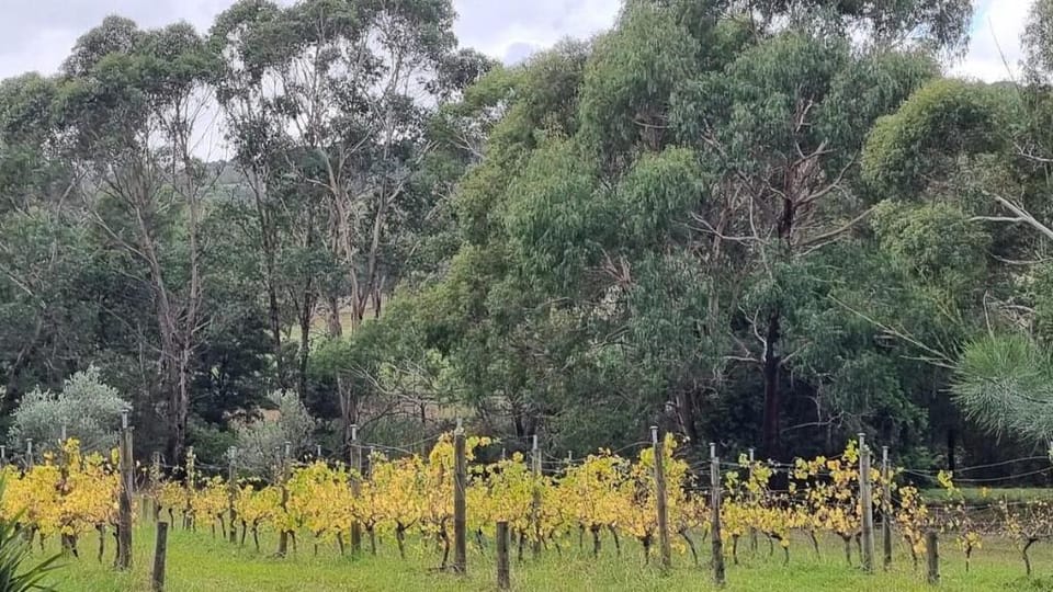 Secluded Luxury Escape Red Hill-Peppercorn Cottage Vacation rental in Red Hill