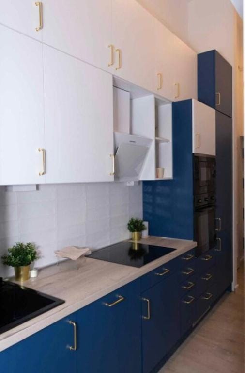 Luxury City Centre Loft (2) Apartment in Budapest