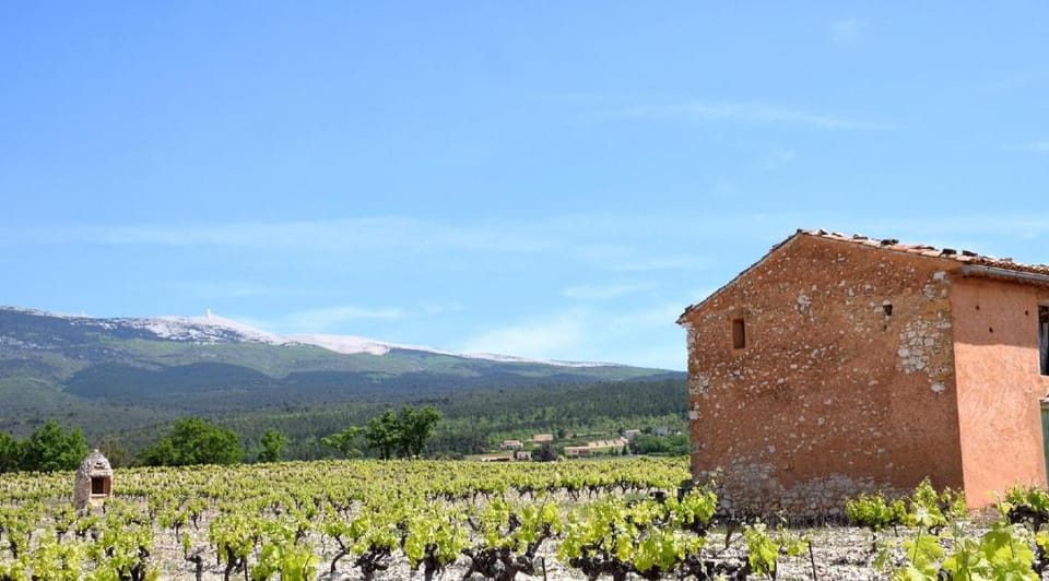 Chez Prunelle Vacation rental in Flassan