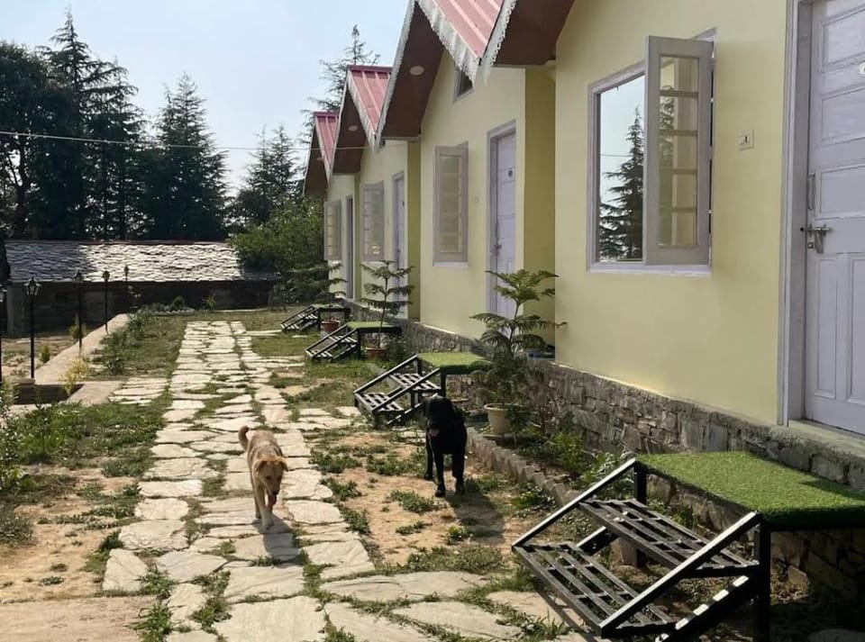 HIDE AWAY. CAMPS AND COTTAGES Farm Stay in Himachal Pradesh