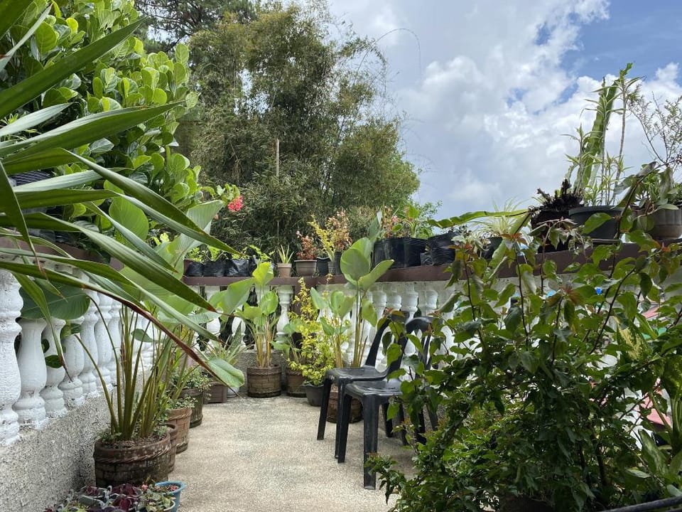 Cozy Garden Veranda Apartment in Baguio