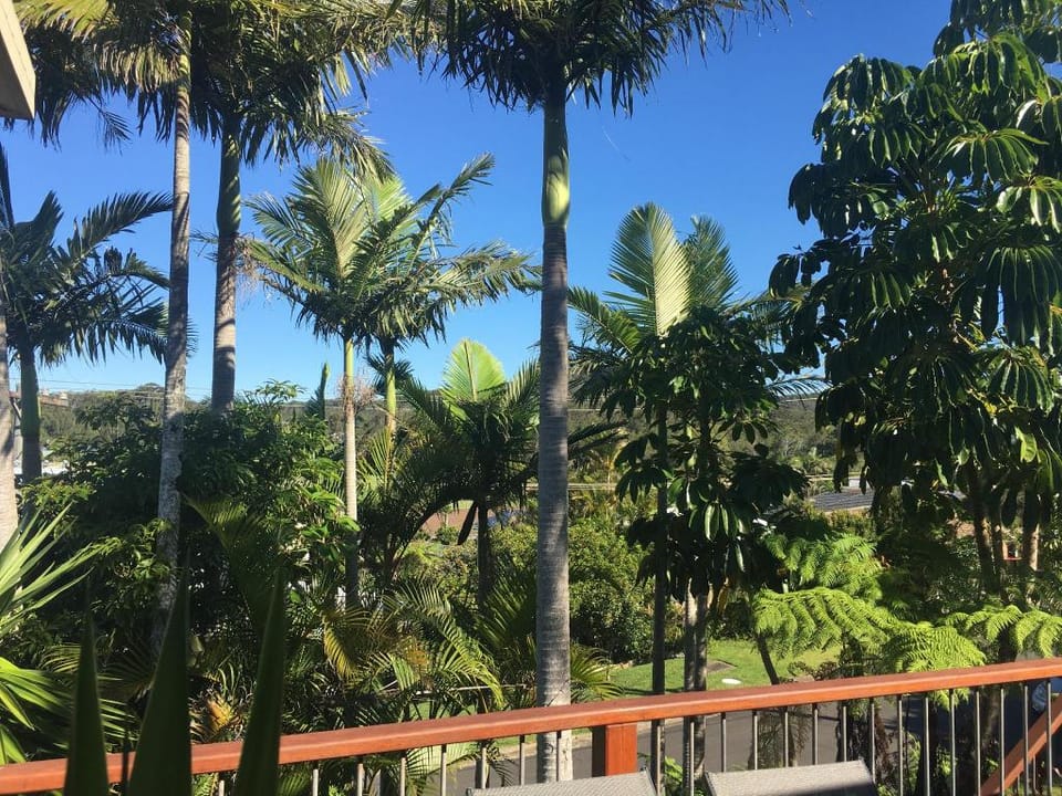 Aloha BeachBreak -Best Value in Scotts Head  Vacation rental in New South Wales