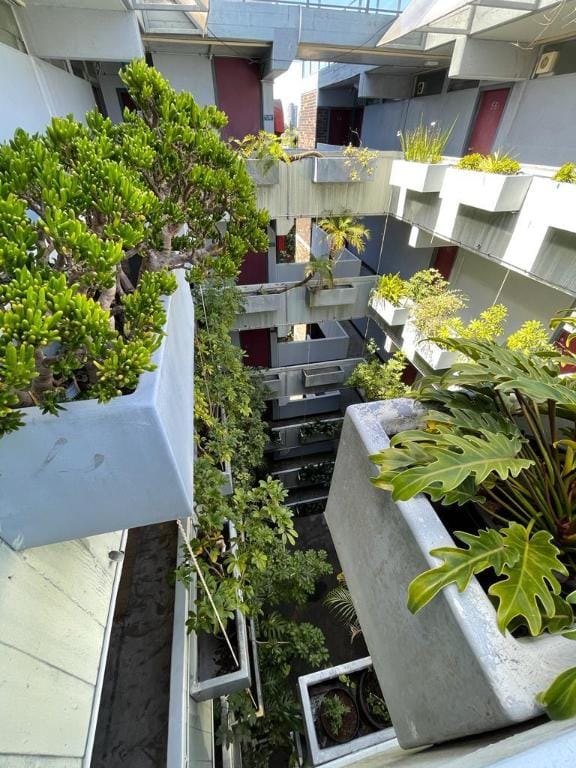 Sunny & peaceful apartment Sydney/Rushcutters bay Apartment in Sydney