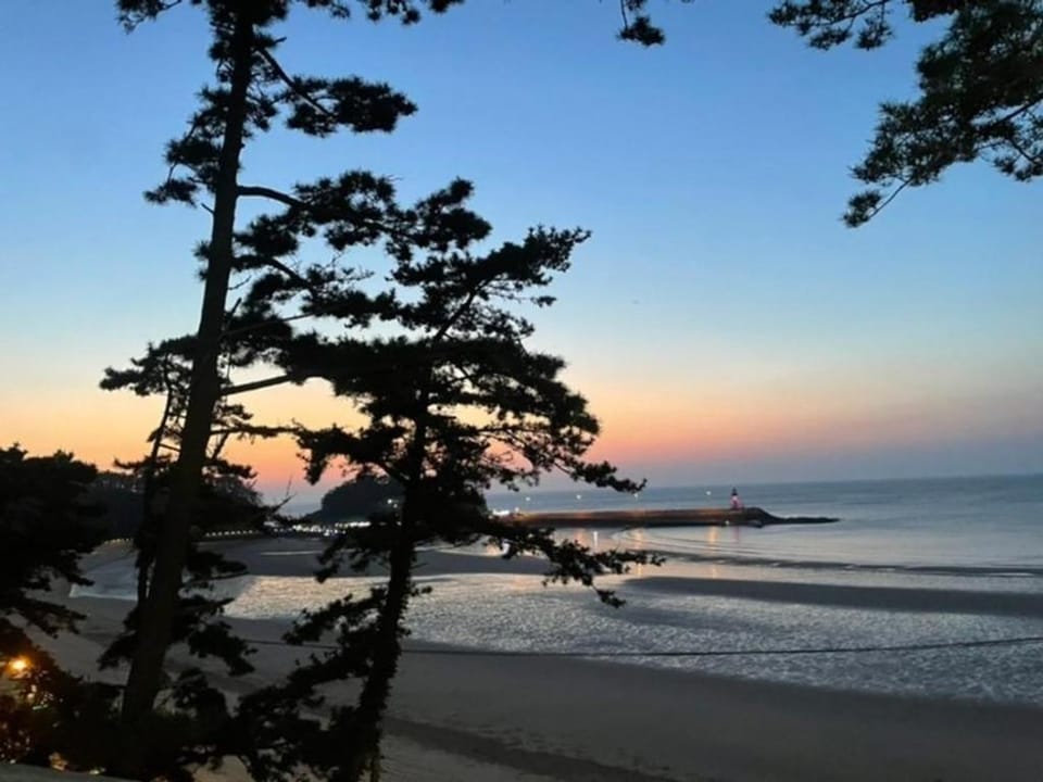 Taean Leo Minbak Bed and Breakfast in South Korea