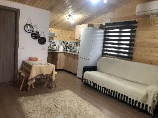 La cabana Ocnele Mari RM. Valcea Vacation rental in Romania