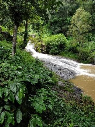 Siderbhan Cottage-3 meals-optical fiber internet Villa in Karnataka