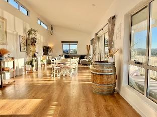 Viola - Seaside Retreat - Freycinet Vacation rental in Tasmania