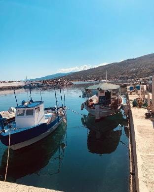 Irigoni Studio - Ikaria Apartment in Icaria