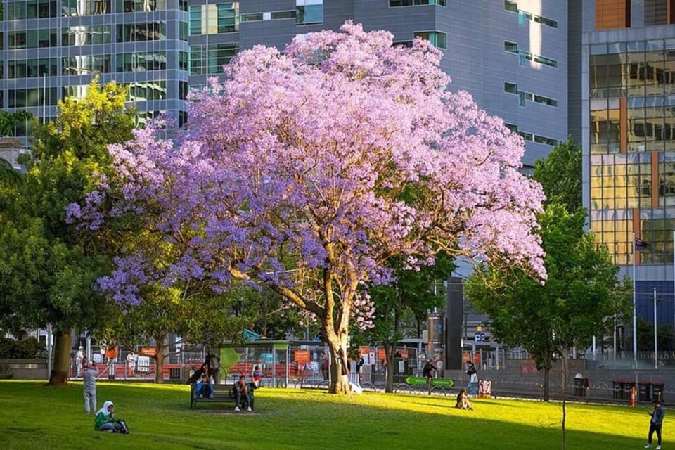 A Comfy & Modern 2BR Apt Near Melbourne Central Vacation rental in Melbourne
