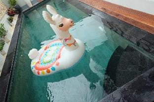 Lesurf  3 bedroom + private pool + rooftop Vacation rental in Bali