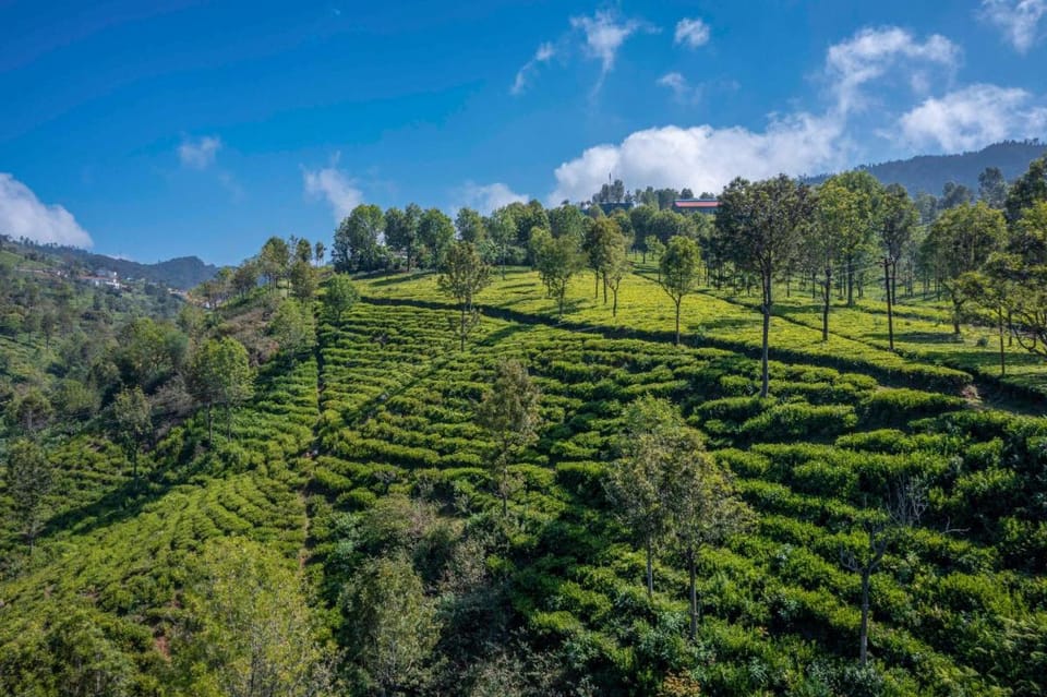 amã Stays & Trails - Werifesteria, Coonoor Villa in Kerala