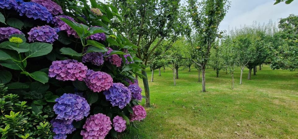 COSMA HOUSE Bed and Breakfast in Western coast of Cantabria