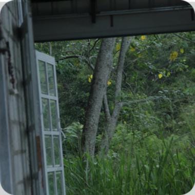 Narangala Retreat Cabin Villa in Uva Province, Sri Lanka