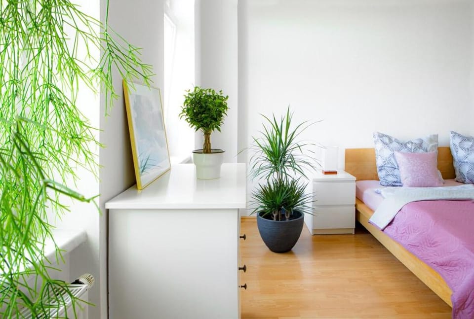DELUX 2 roomapt. TOP LOCATION easy CheckIn+Netflix Apartment in Dresden-Neustadt