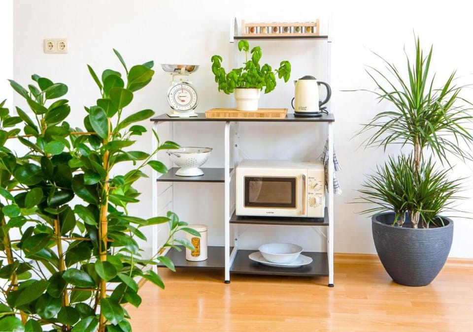 DELUX 2 roomapt. TOP LOCATION easy CheckIn+Netflix Apartment in Dresden-Neustadt