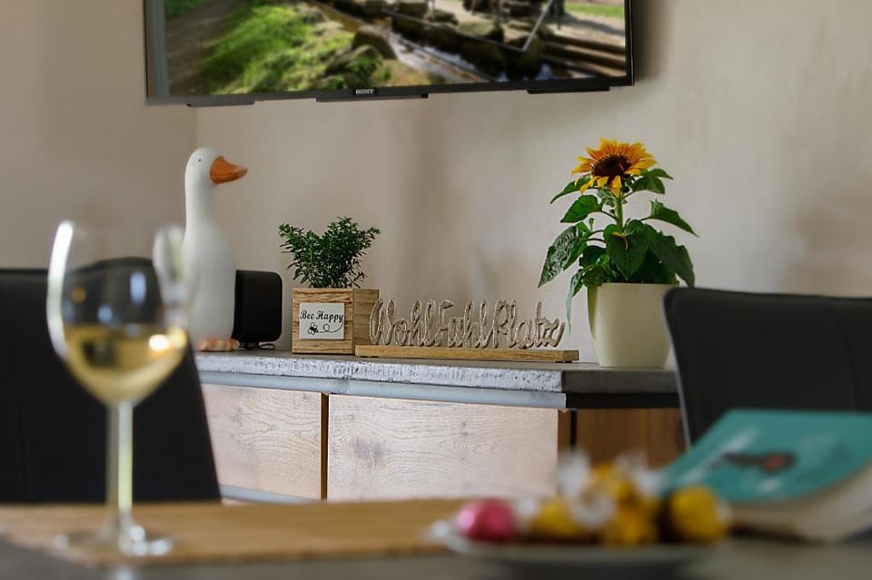 Premiumferienhaus Lanai Vacation rental in Saxony-Anhalt, Germany