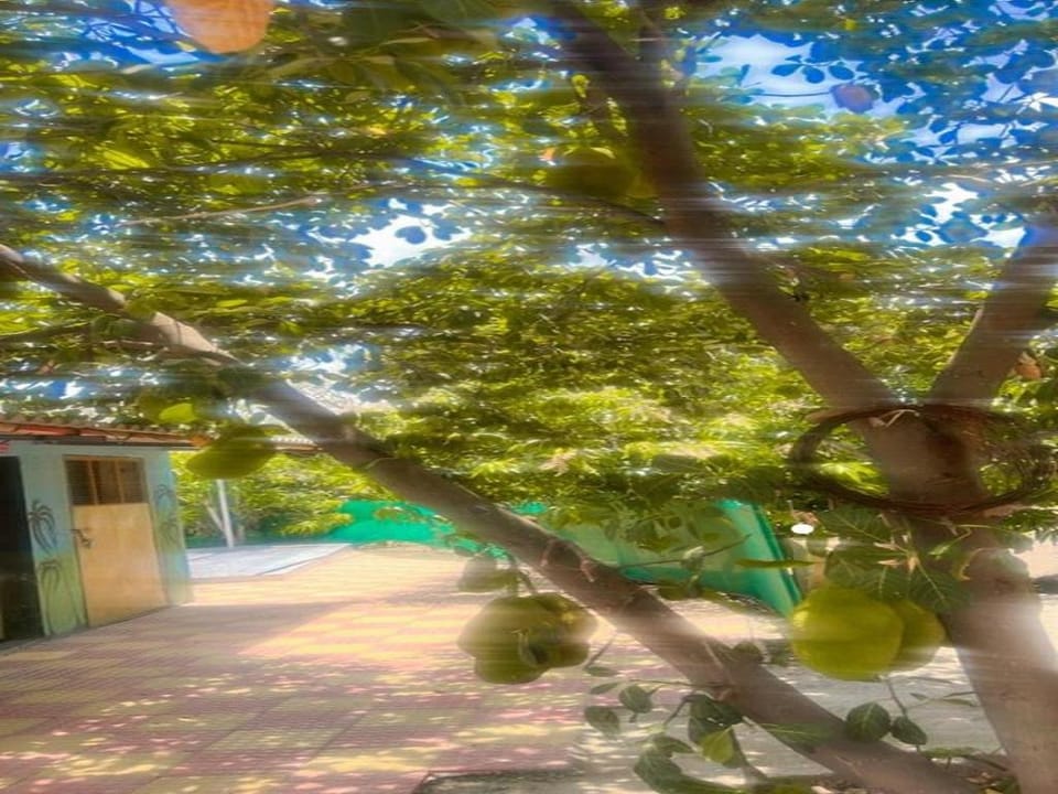 Manav Farm House Farm Stay in Maharashtra