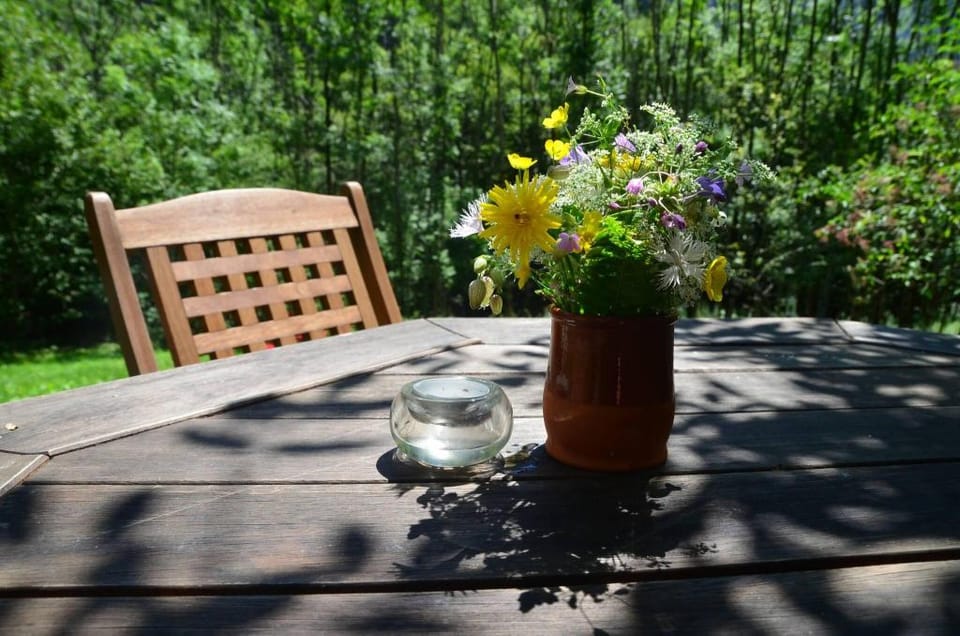 Elderflower Cottage In The Heart Of Nature Vacation rental in Friuli-Venezia Giulia